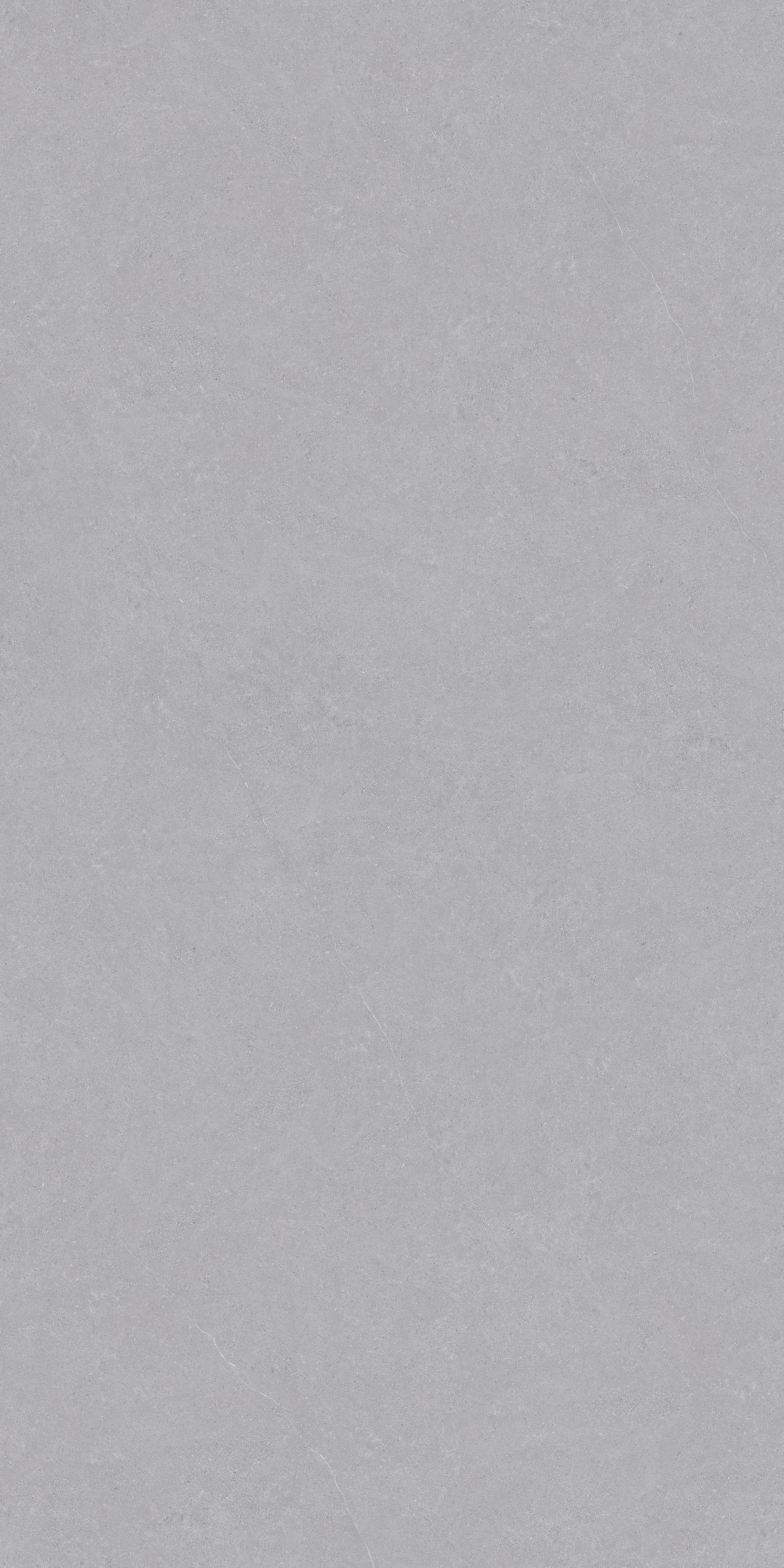 OFTD15076海鷗灰