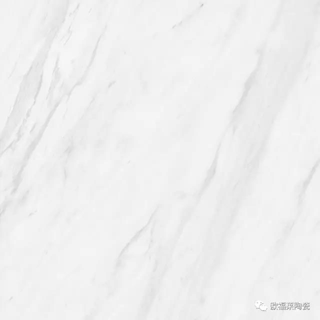 03.webp.jpg